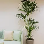 Arial Lofts 3*